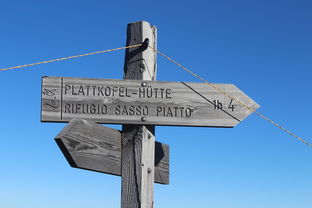 LeyuSports-俱乐部品牌塑造：从传统到现代的转型之路，俱乐部产品特点